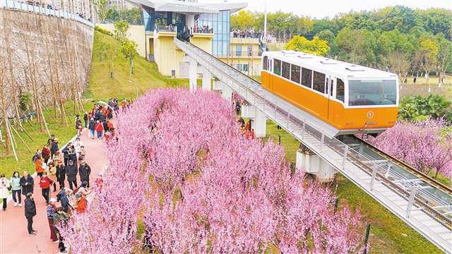 Visitors had fun in the sea of flowers under the ‘Time Cable Car’ in Lijia Intelligent Park. (File photo, by Li Yuheng / Visual Chongqing)