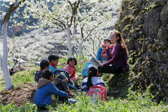 老师在李花树下给孩子们讲故事。巫溪县委宣传部供图