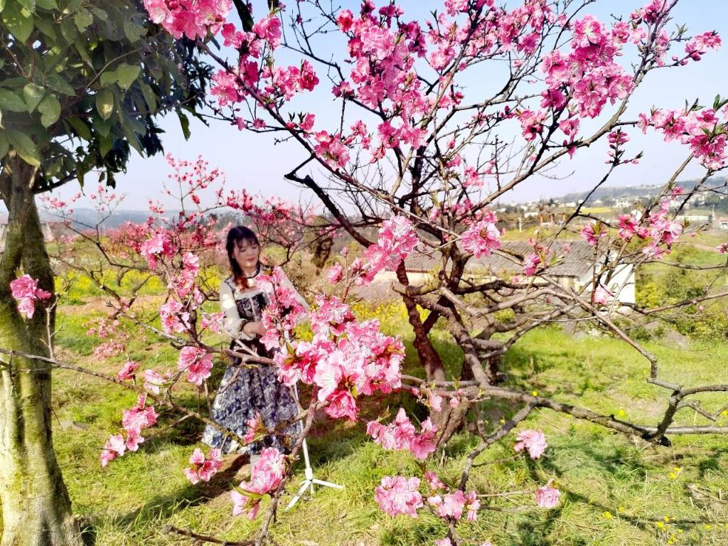 Visitors came to view flowers. (Photographed by Ling Zeying)