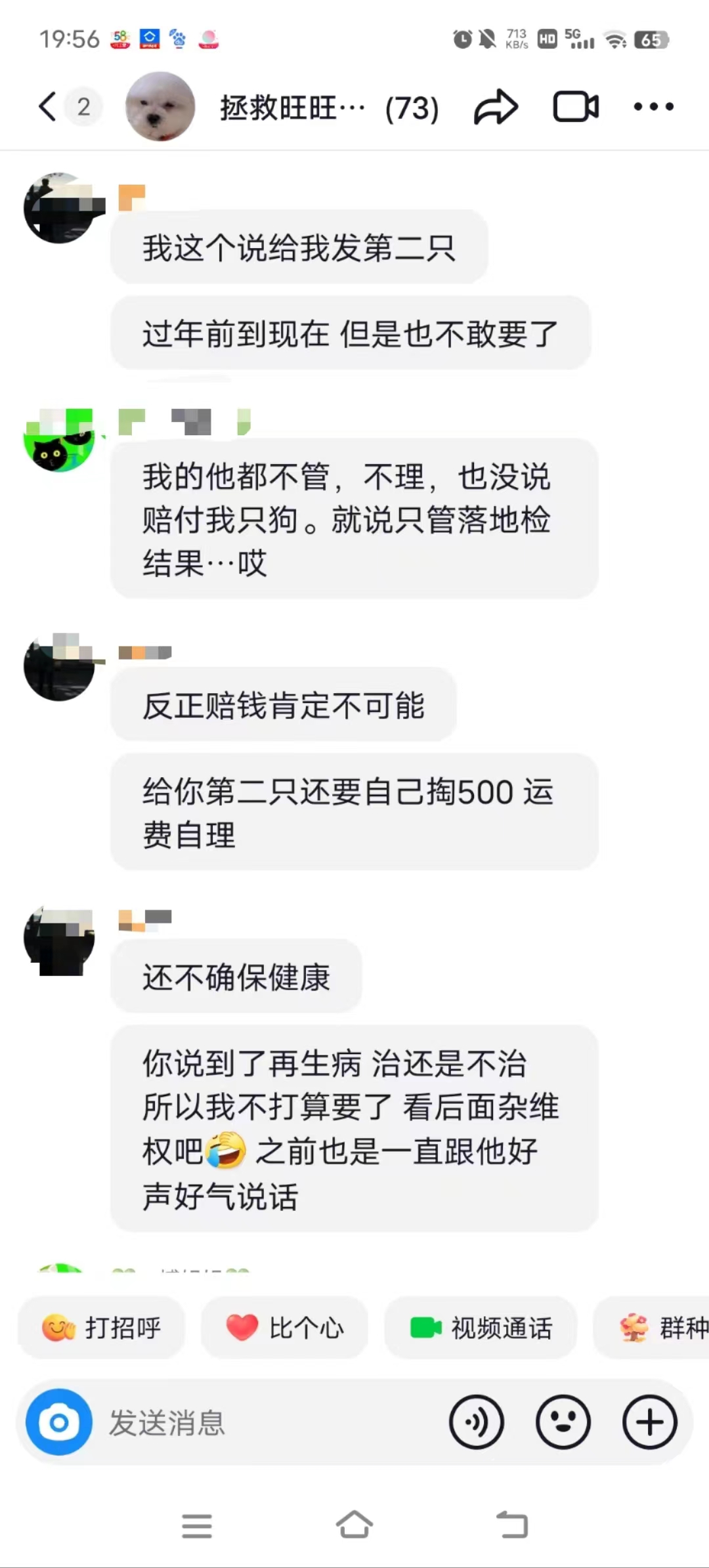 女子在直播间买到“星期狗”，商家：可补发不退款4