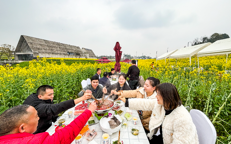 江津：赏菜花吃火锅 游客乐开花2