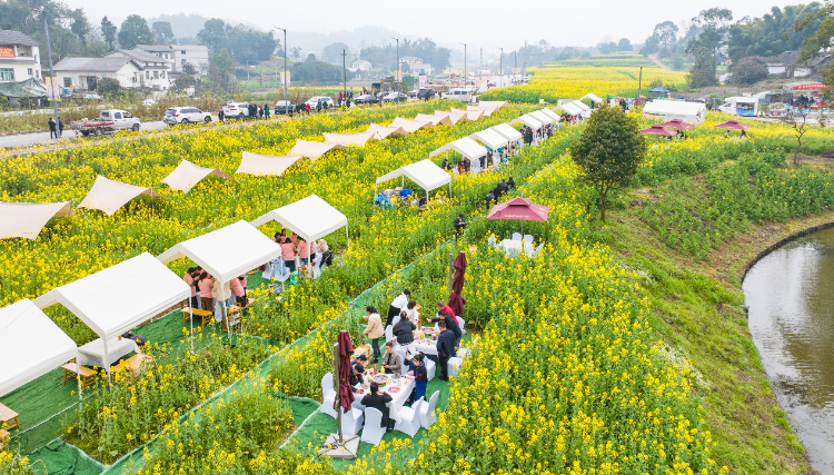 江津：赏菜花吃火锅 游客乐开花1