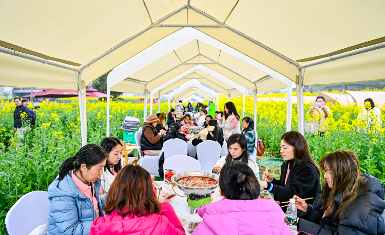 江津：赏菜花吃火锅 游客乐开花7