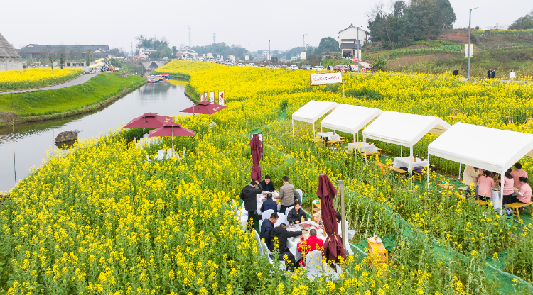 江津：赏菜花吃火锅 游客乐开花4