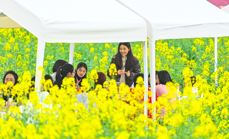 江津：赏菜花吃火锅 游客乐开花6