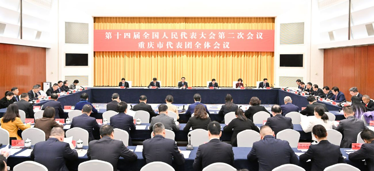 重庆代表团举行全体会议 袁家军胡衡华王炯张轩出席