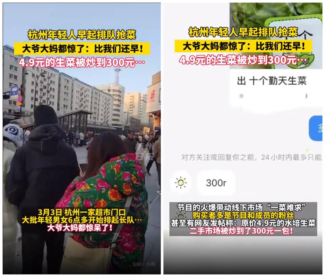 “十个勤天”种的生菜原价4.9元被炒到300元，追星追到哄抬菜价太荒唐