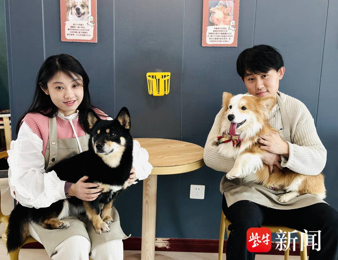 徐州90后夫妻收养流浪猫狗开“猫咖”“狗咖”：“让它们‘打工’养活自己”3