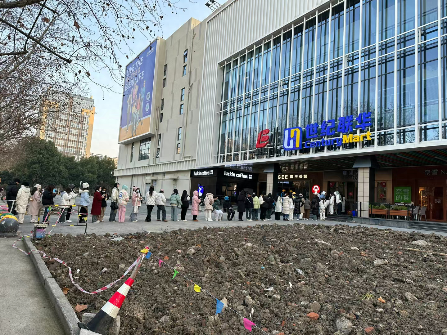 综艺《种地吧》衍生品爆火！4.9元生菜被炒到300元1