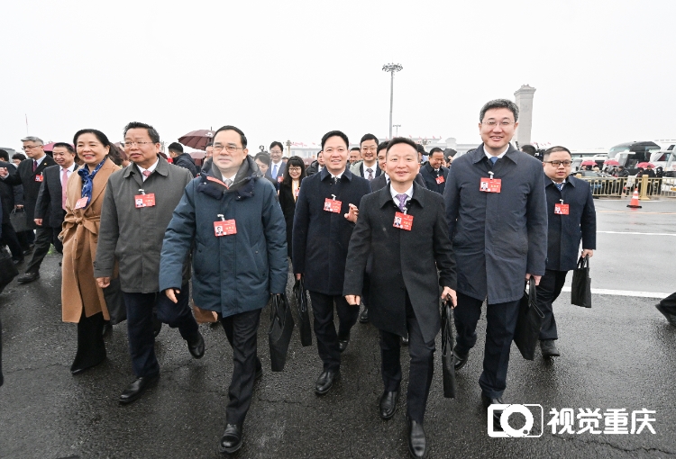 图片新闻｜瑞雪相迎 重庆代表团信心满满步入人民大会堂1