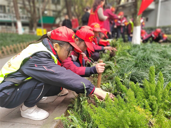 社区志愿者指导渝北实验小学护绿小志愿者种绿植。两路街道办事处供图 华龙网发