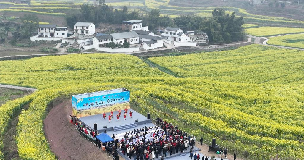 仙龙镇油菜花节开幕。