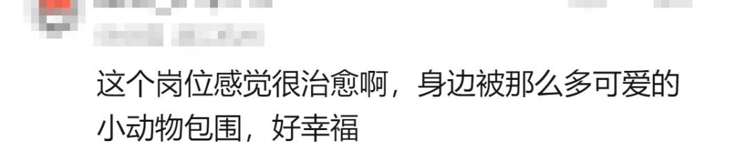 95后姑娘一夜火了，网友羡慕：“神仙工作！”但她却说……6
