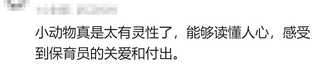 95后姑娘一夜火了，网友羡慕：“神仙工作！”但她却说……7