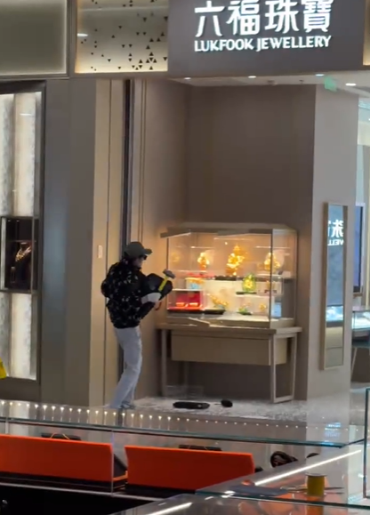 男子在杭州抢劫一珠宝店 被捕时称有外交豁免权