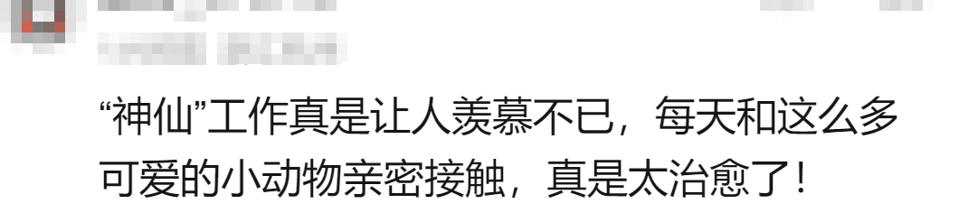95后姑娘一夜火了，网友羡慕：“神仙工作！”但她却说……8