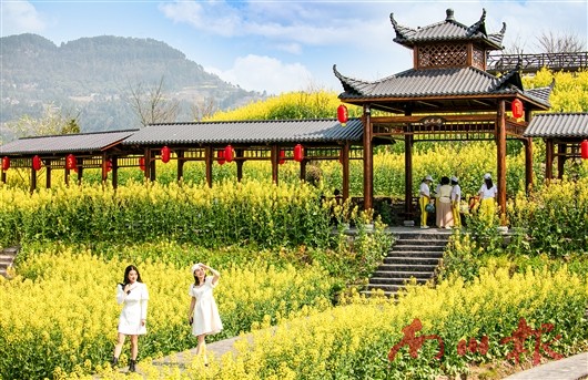 未命名图片6