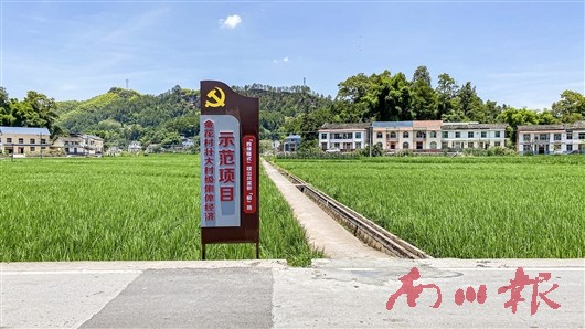 未命名图片4