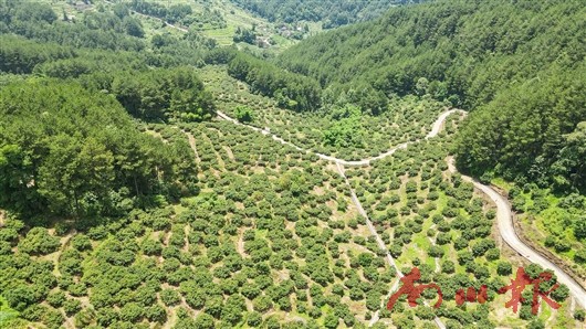 未命名图片3