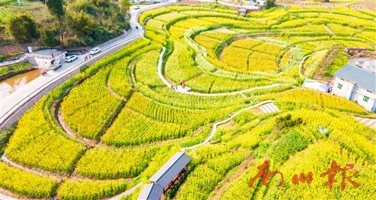 未命名图片1