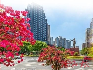 未命名图片2