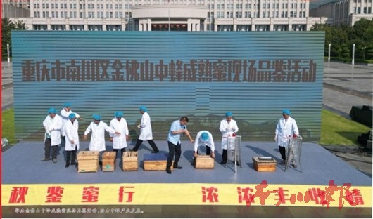 未命名图片1