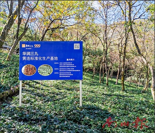 未命名图片3
