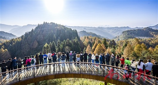 未命名图片1