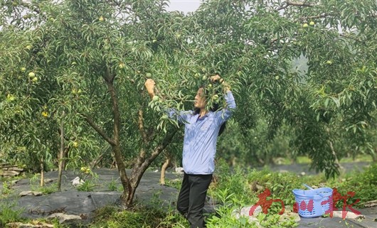 未命名图片3