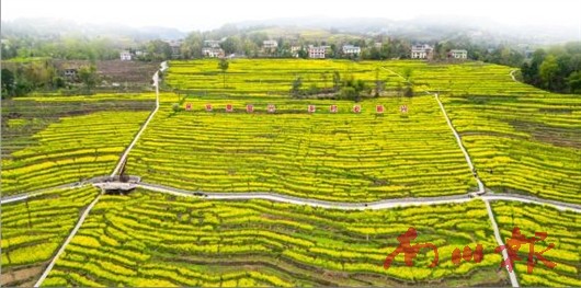 未命名图片4