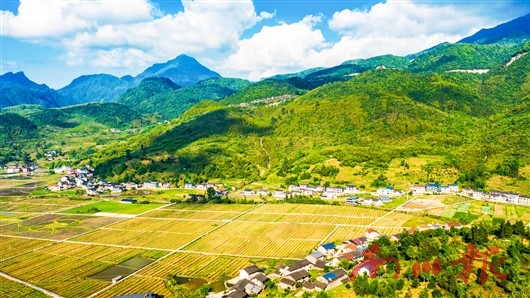 未命名图片2