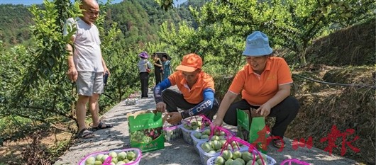 未命名图片1
