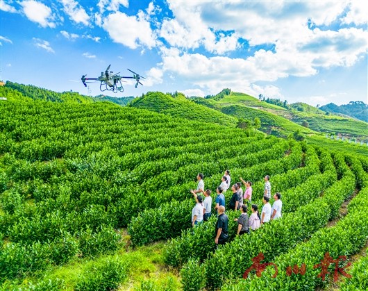 未命名图片1