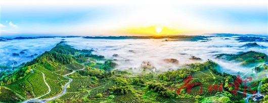 未命名图片2