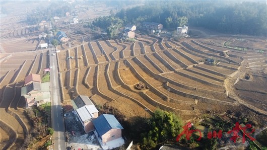 未命名图片7