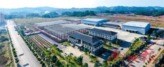 未命名图片3