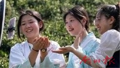 未命名图片2