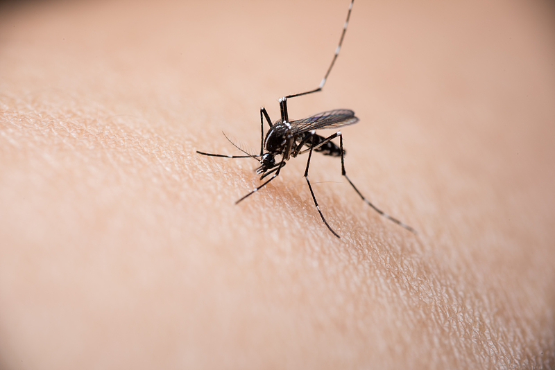 蚊虫叮咬会传染艾滋病？与其防蚊，不如防这些