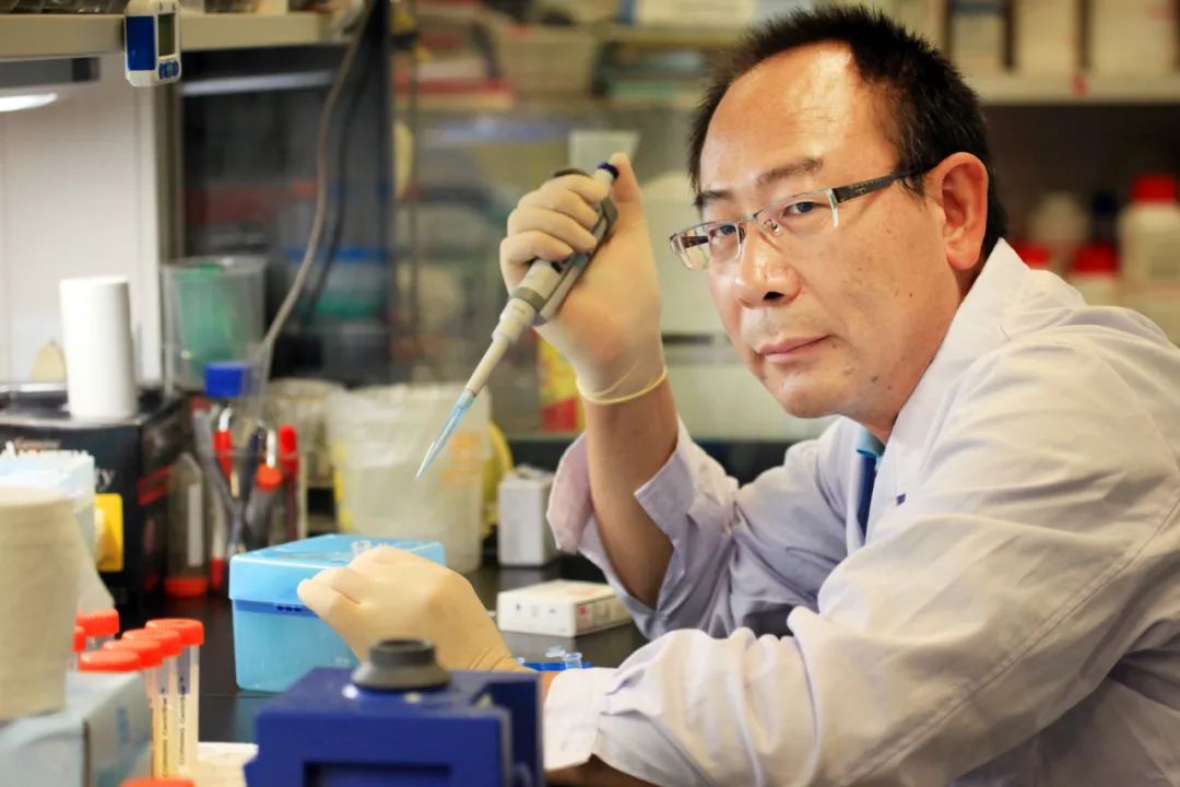 薪火赓续百廿荣光丨重庆市荣昌中学校建校120周年杰出校友系列融媒体