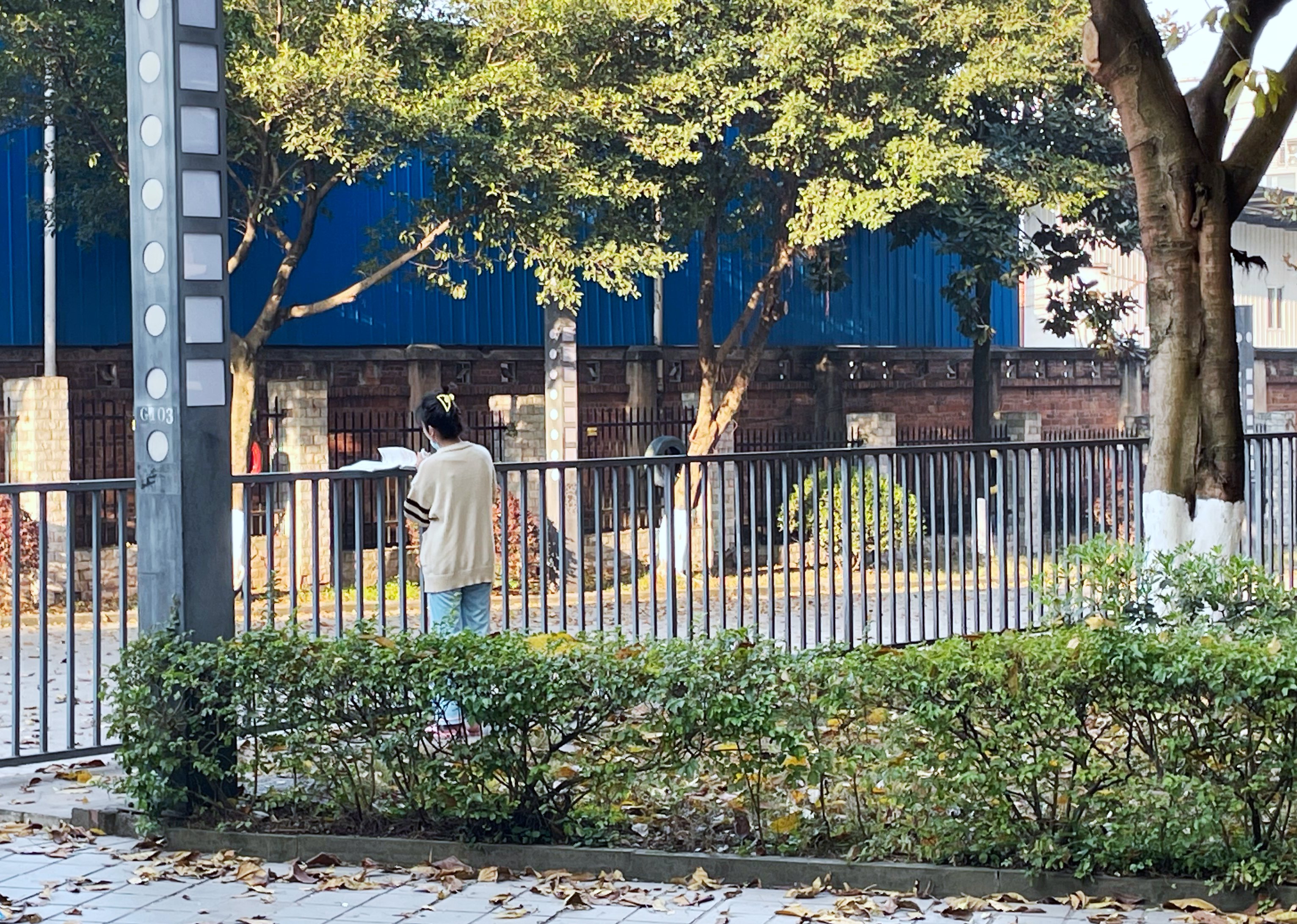 照片1