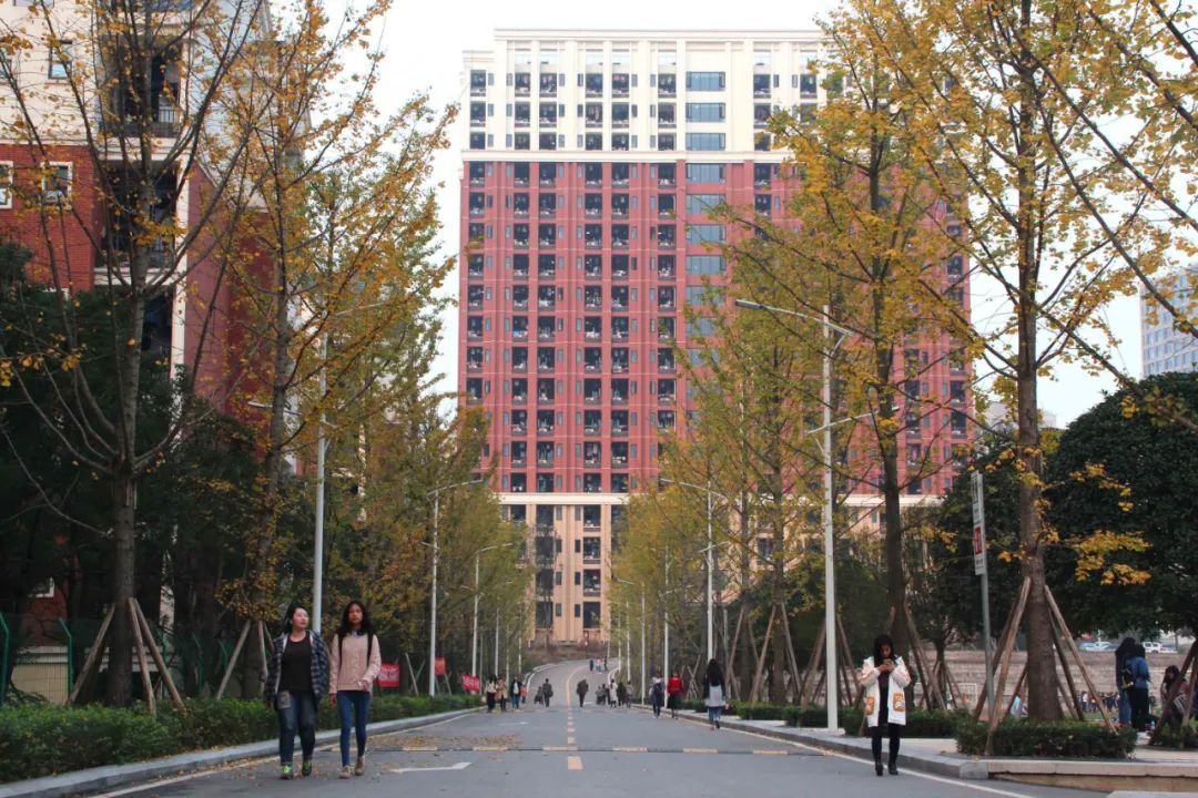 2022年招办主任来帮忙丨重庆财经学院招生就业处副处长裴莹访谈-国内