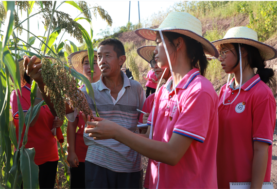村民为观察团介绍高粱生产情况及种植技术