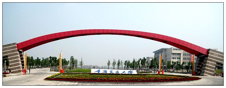 IMG_256