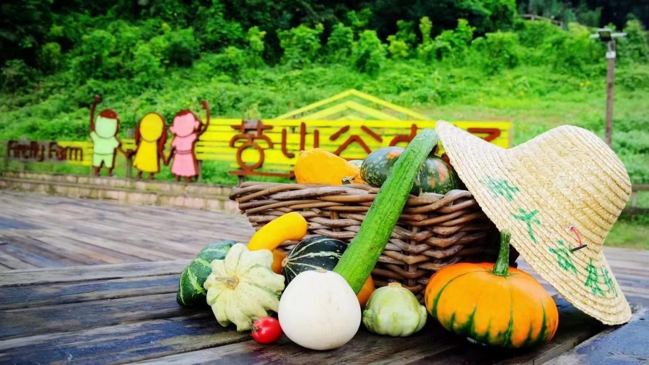 aa8f7bb39fca975e4edb7022922301e