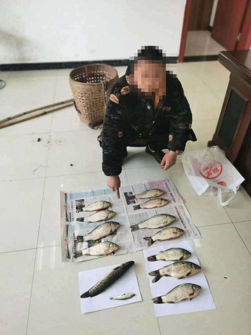 6f238d394a2e934685761ace527107a