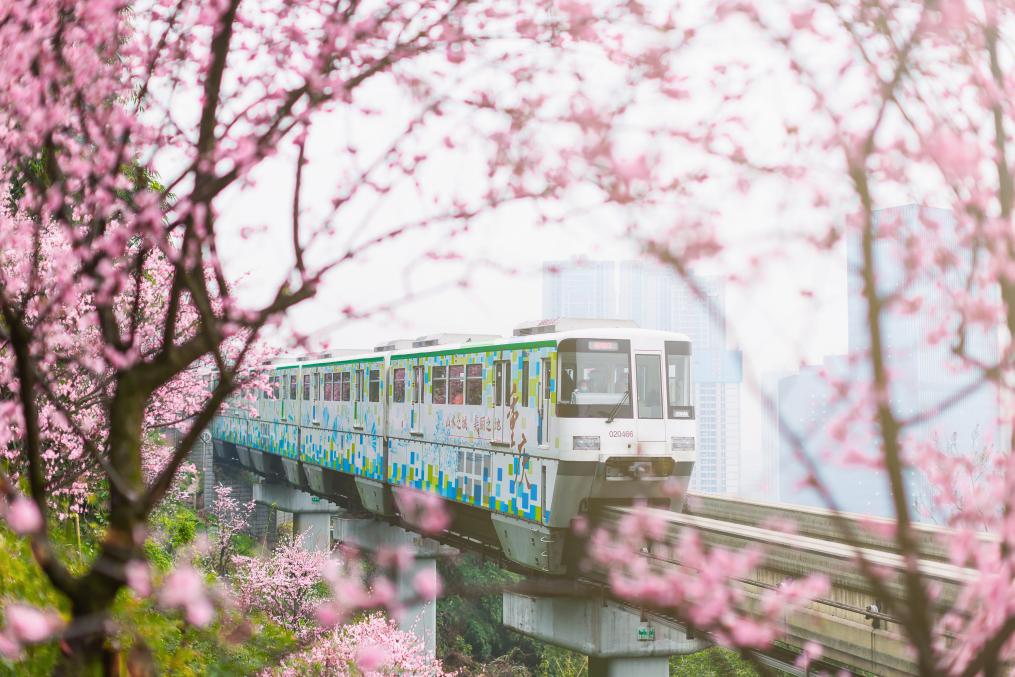 开往春天的列车