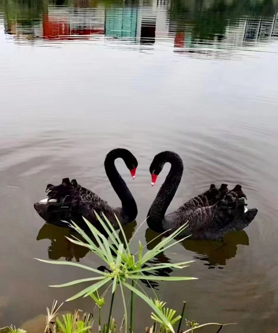 767cb2ff8b5d5e0990350270edd6816