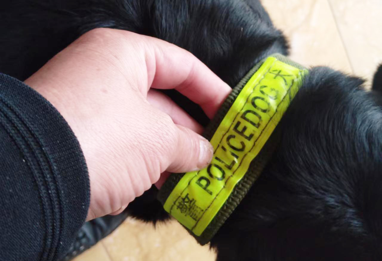 标明警犬