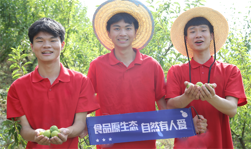 图片 1