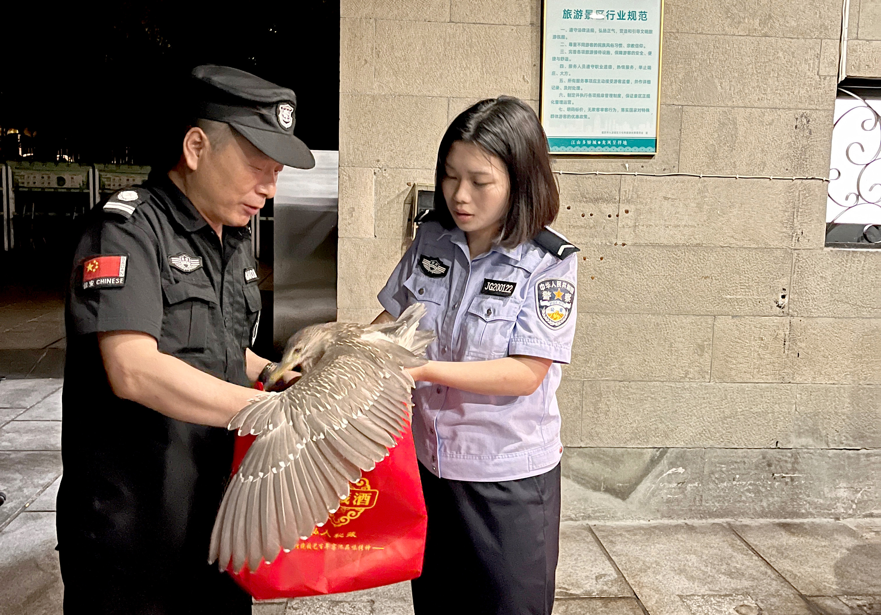 民警将夜鹭交给杨家坪动物园工作人员